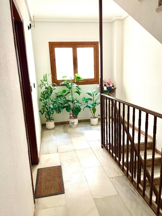 Captain Garcia Apartment Torrevieja Eksteriør bilde